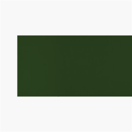 Scale - G10 - Green Sapin