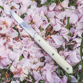 Acier inoxydable T7MO / 1.4109 / 440A