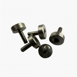 Vis de pivot inoxydable - Tête plate - M2