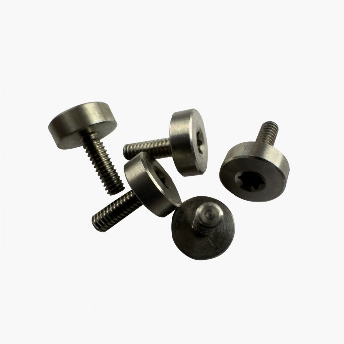 Vis de pivot inoxydable - Tête plate - M2