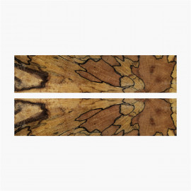 Buche Holz Blasen stabilisiert