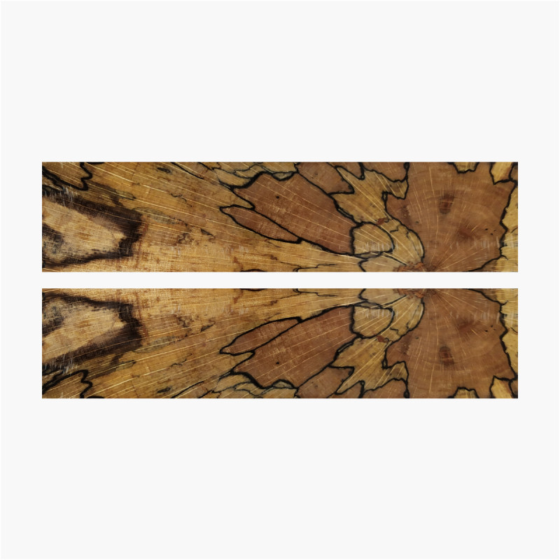 Buche Holz Blasen stabilisiert