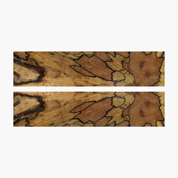 Buche Holz Blasen stabilisiert