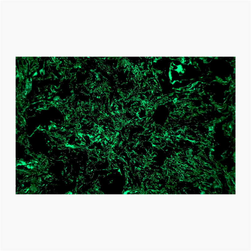 Plaquettes fibre de carbone - Dark matter Glow - Fat Carbon