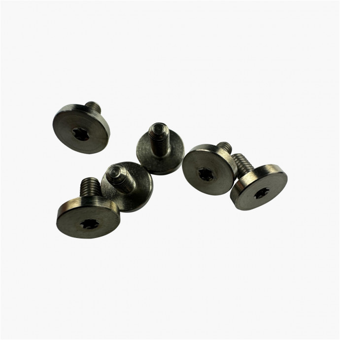 Torx titanium screw - Flat cylindrical head - M3