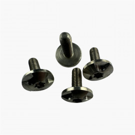 Torx Titanium Pivot Screw - Trilobe