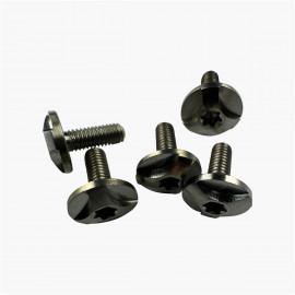 Titanium pivot screw torx - Windmill