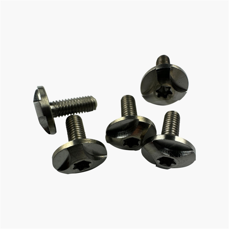 Titanium pivot screw torx - Windmill